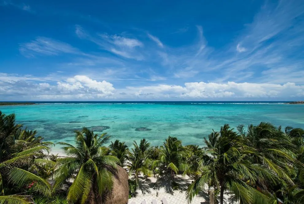 Mansion Villa In Soliman Bay For 34 Guests! Tulum Holiday home