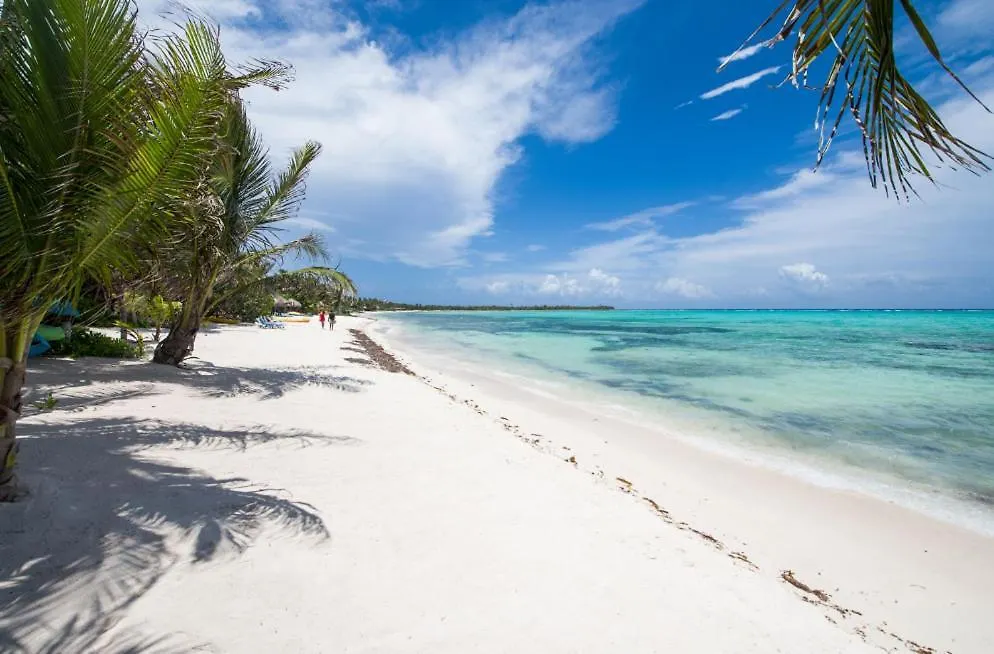 Mansion Villa In Soliman Bay For 34 Guests! Tulum Holiday home